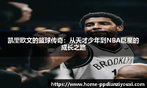 pp电子官网
